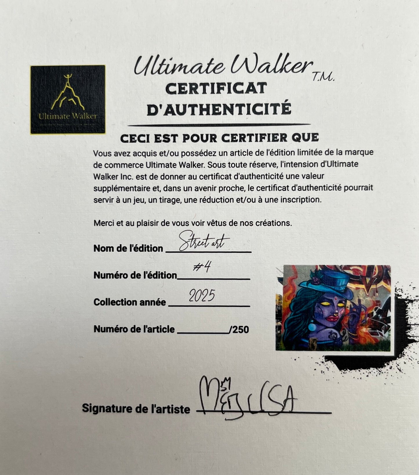 La Magicienne / Chandail coton Bio Ultimate walker Collection Street Art/250 Femme Ultimate Walker inc.