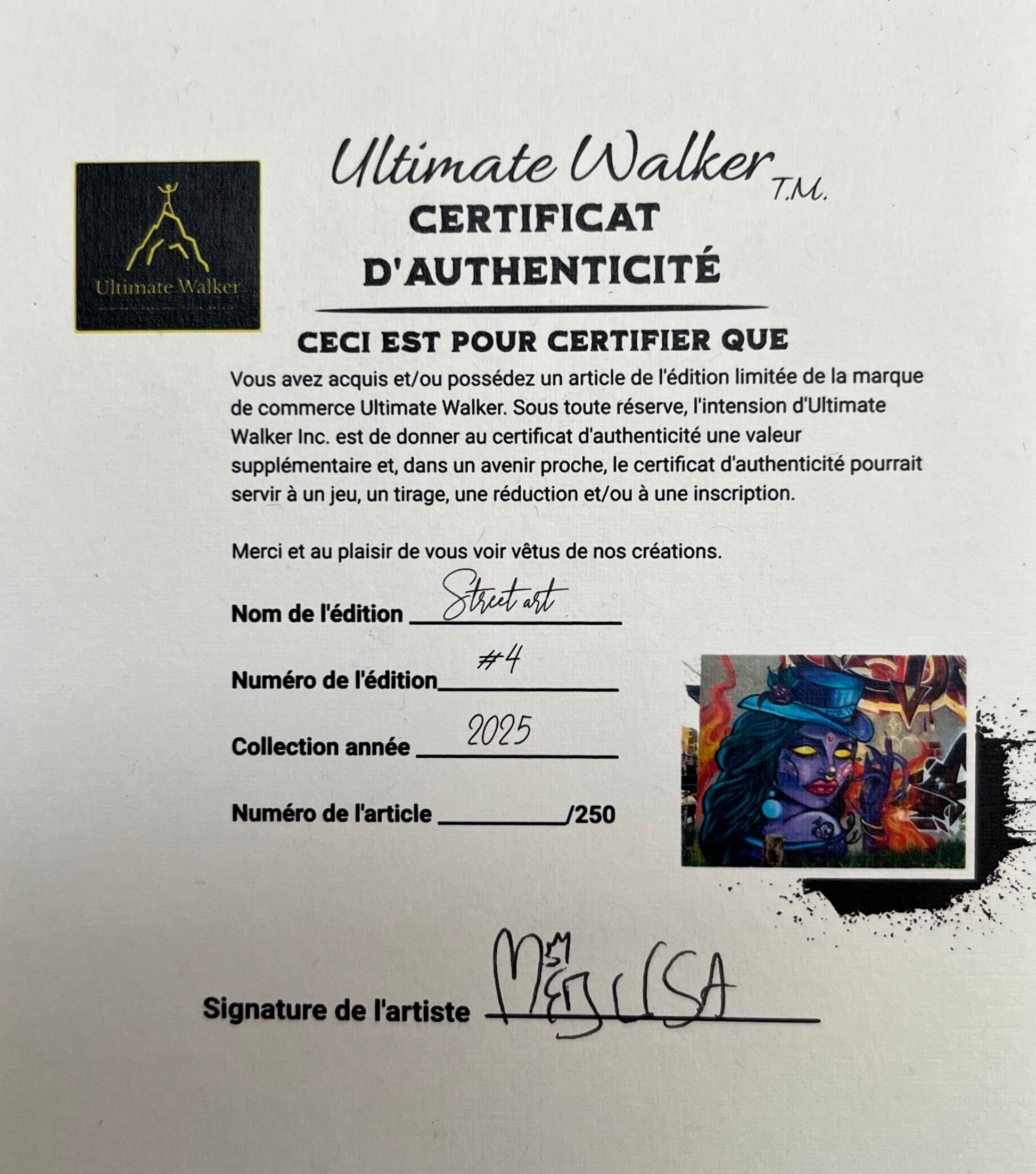 La Magicienne / Chandail coton Bio Ultimate walker Collection Street Art/250 Femme Ultimate Walker inc.